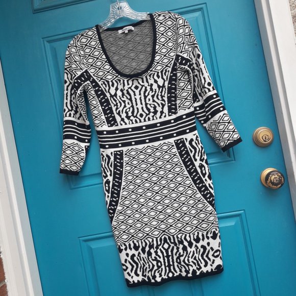 Animal Print Dress Body Con Rayon Knit Gorgeous Wild Black and White Print - Picture 15 of 16